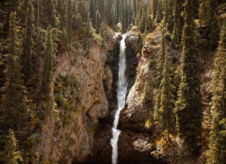 Waterfall cascading through conifer forest in Barskoon Gorge, Kyrgyzstan
