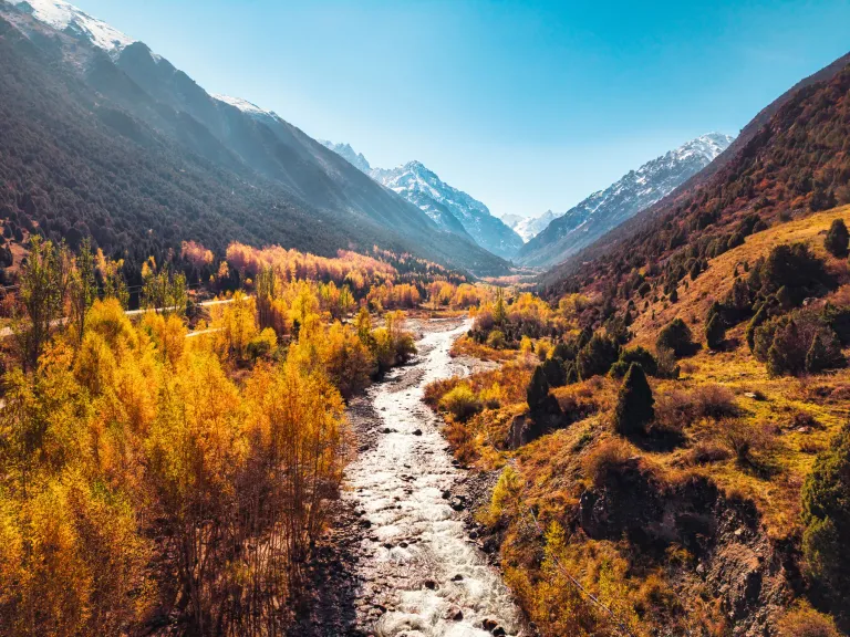 Mountain river flowing between golden autumn trees and high peaks