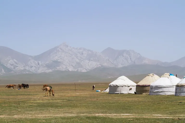 White yurts and grazing horses on open pasture near Song-Kol