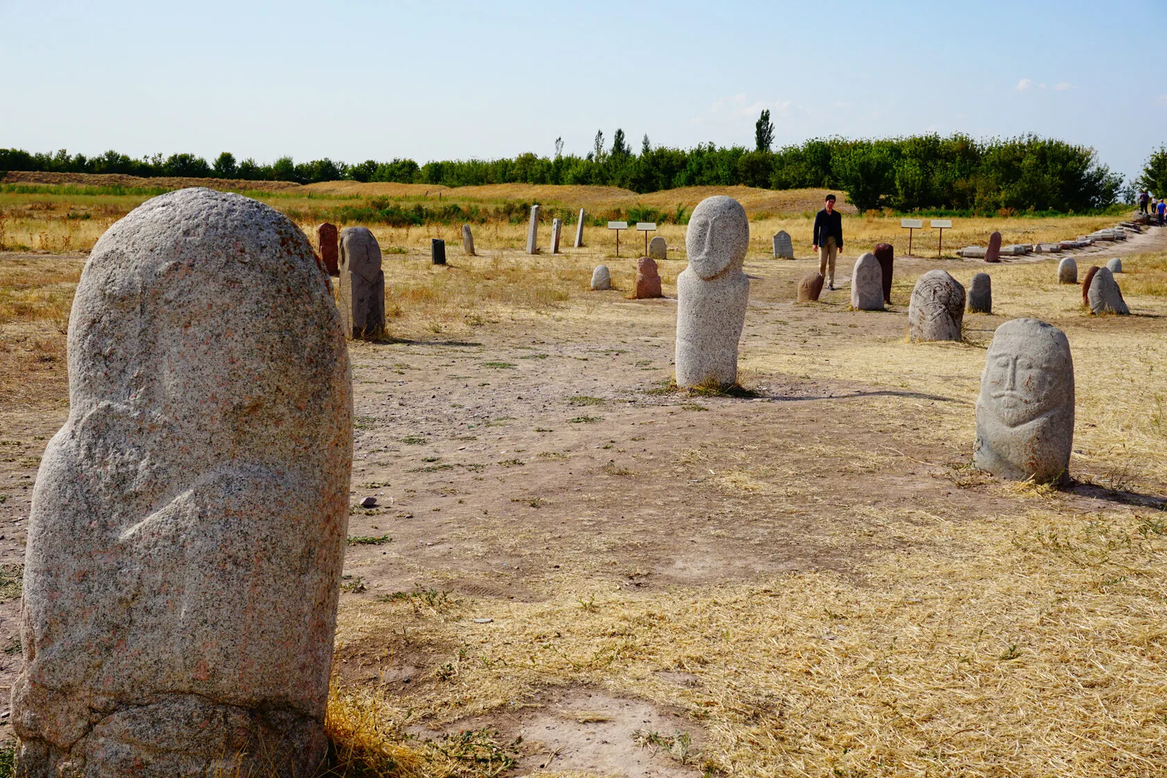 Silk Road and nomads tour: private Central Asia journey from Almaty: photo 1