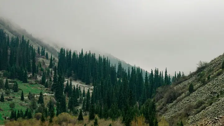 6-day Kazakhstan and Kyrgyzstan tour from Almaty by private SUV: photo 4