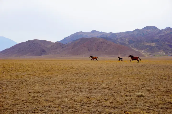 5-day Kazakhstan holiday package: private tour from Almaty: photo 57