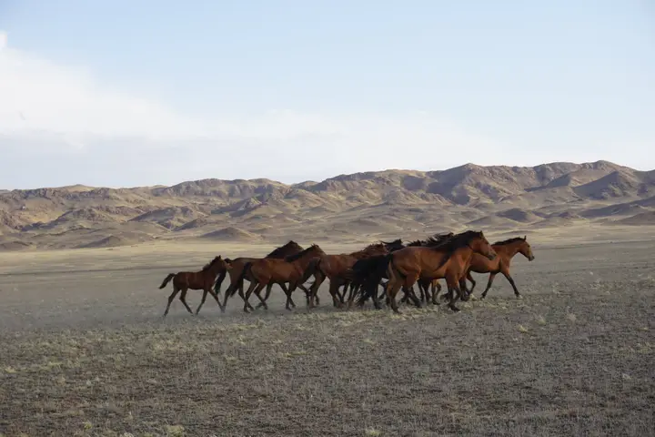 5-day Kazakhstan holiday package: private tour from Almaty: photo 74