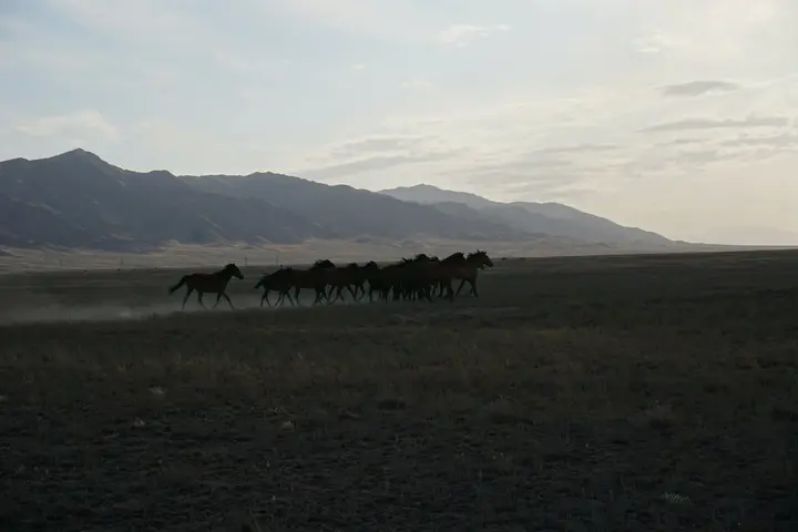 5-day Kazakhstan holiday package: private tour from Almaty: photo 75