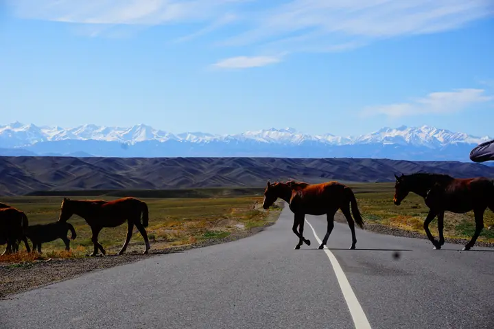 5-day Kazakhstan holiday package: private tour from Almaty: photo 96