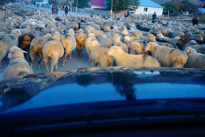 Best places to visit in Kazakhstan, Kyrgyzstan and Uzbekistan: photo 3