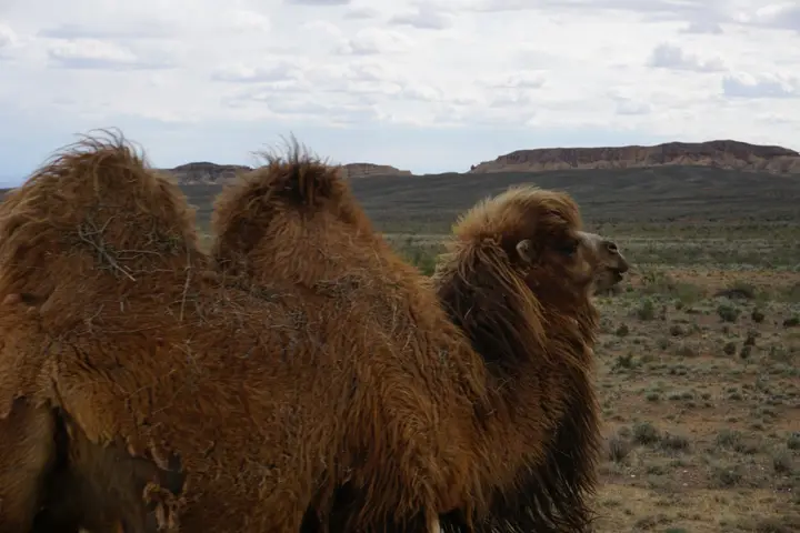 Issyk-Kul Lake, Kyrgyzstan: how to visit: photo 2