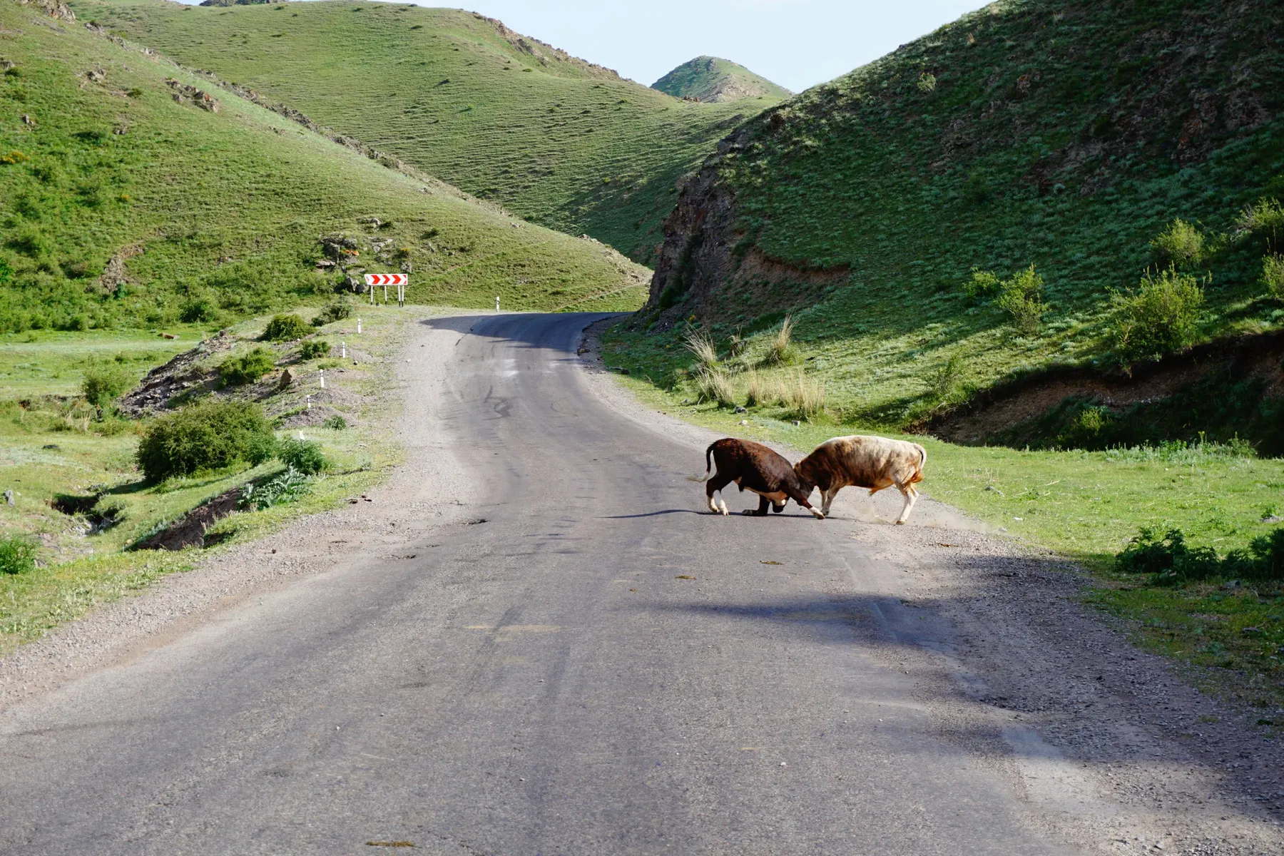 Dungan Mosque, Kyrgyzstan: how to visit: photo 1