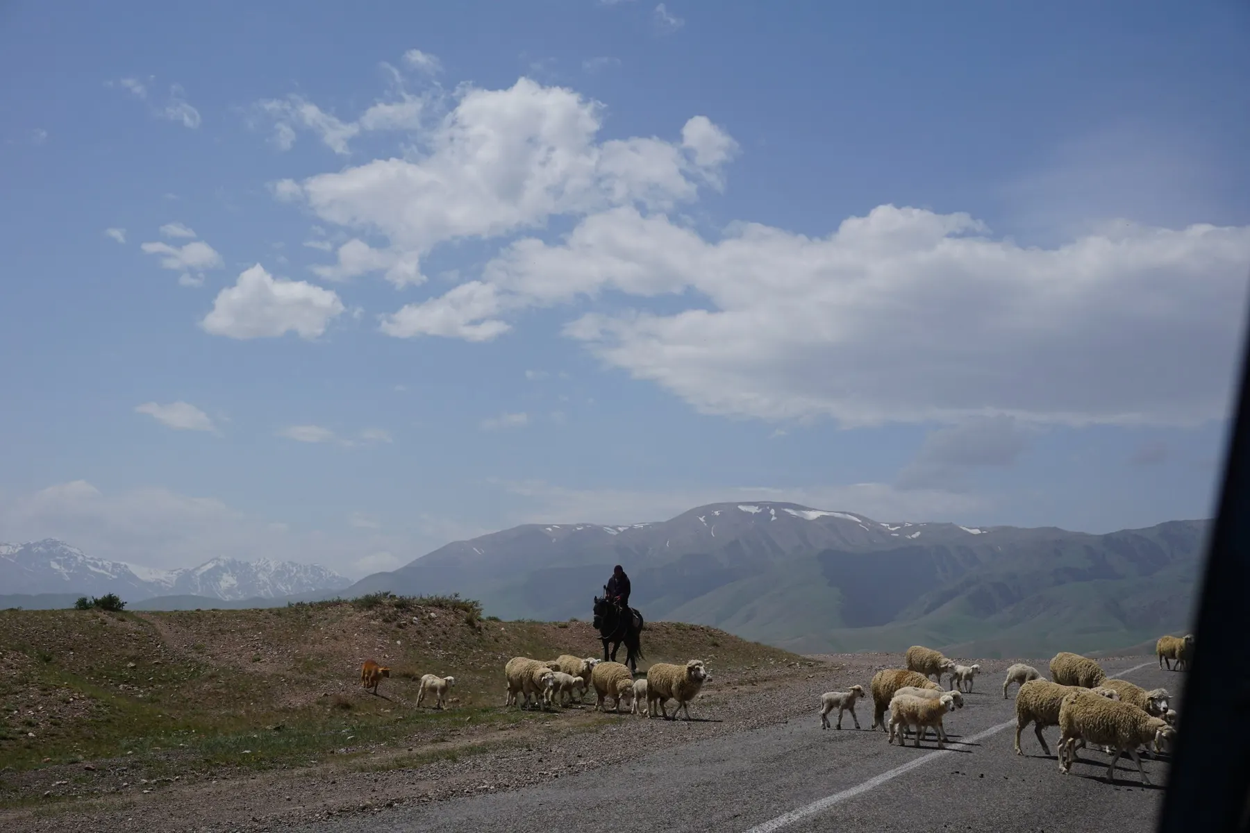 Przhevalsky Museum, Kyrgyzstan: how to visit: photo 1