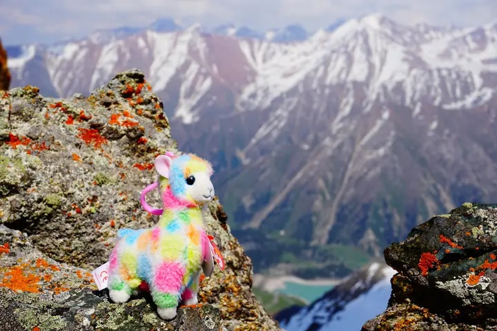 Karakol Gorge, Kyrgyzstan: how to visit: photo 5