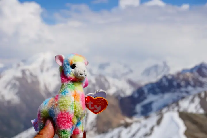 About Silk Travel: local travel agency in Almaty, private tours since 2019: photo 3