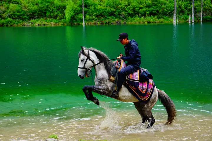 Partner with a local DMC in Almaty: photo 1