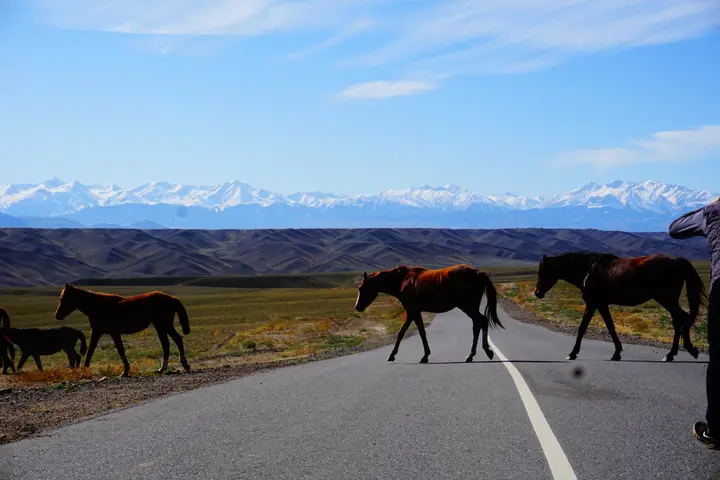 Best places to visit in Uzbekistan: Samarkand, Bukhara and Khiva: photo 1