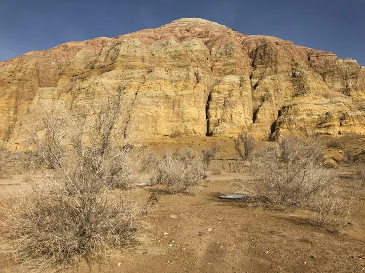 Tamgaly petroglyphs, Kazakhstan: how to visit: photo 2